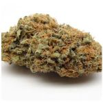 Шишки AK47 (Гидропоника, Бошка) VHQ в Удомле Шишки AK47 (Гидропоника, Бошка) VHQ в Удомле