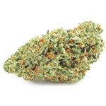 Шишки OG Kush (Гидропоника, бошки) VHQ в Удомле Шишки OG Kush (Гидропоника, бошки) VHQ в Удомле
